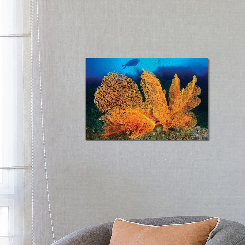 A Diver Looks At Large Gorgonian Sea Fans, Solomon Islands by Steve Jones - Wrapped Canvas Print