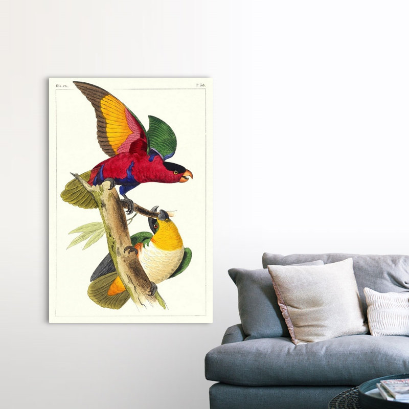 «Lemaire Parrots I», art mural sur toile, Toile tendue, H 60 po x l 40 po x P 1 po