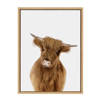 Baby Highland Calf Print by Amy Peterson