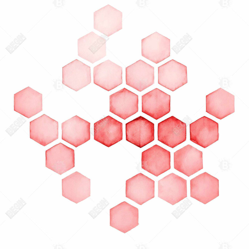 " Alveoli Red "