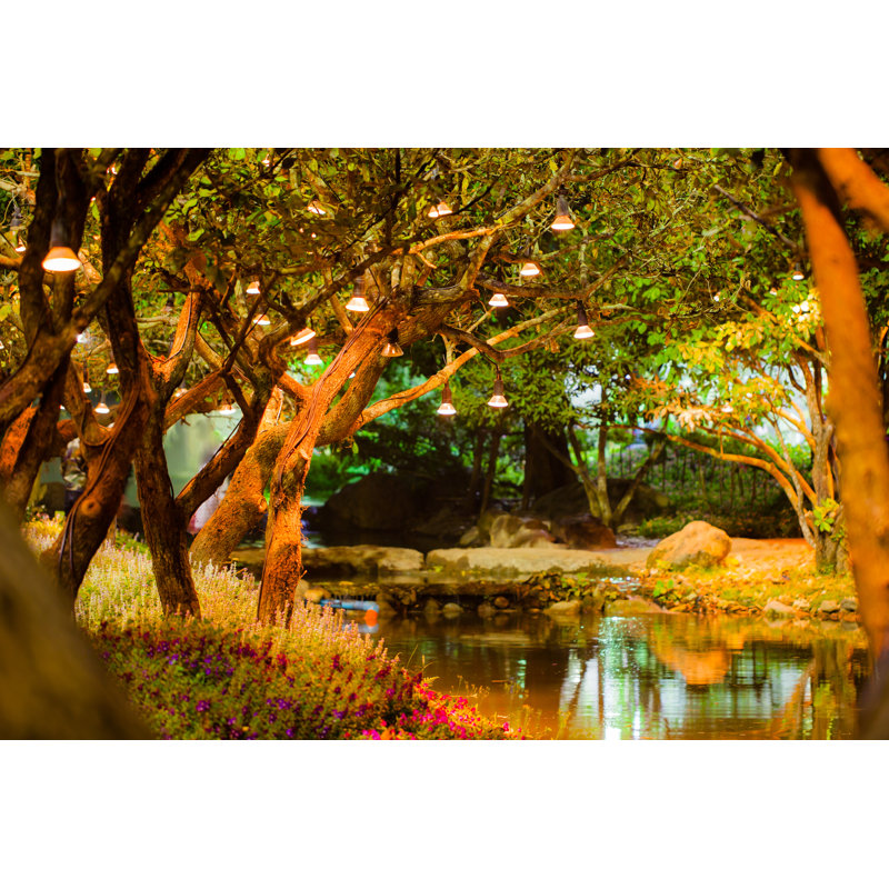 Lamp With Tree In The Park At Night, Vintage Style - Wrapped Canvas Print, 30cm H x 46cm W x 3.8cm D