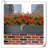 Dahlia Arrangement-1846264904