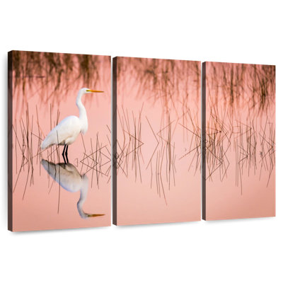 Brampt Great Egret On Marsh