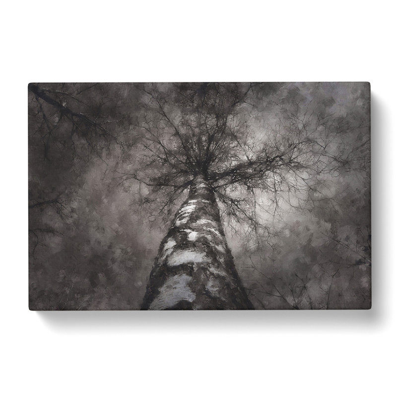 Birch Tree - Wrapped Canvas, 40cm H x 60cm W x 3cm D