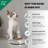 Pet Bowl-13945731