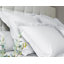 Vexin Pillow Case-816739087-816739121