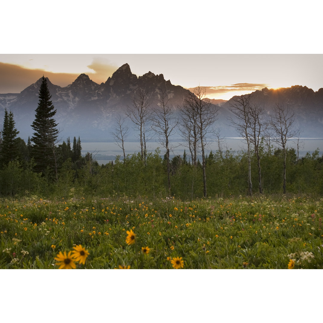 Sunset Over Grand Tetons From Shadow Mountain by Reidksmith - Wrapped Canvas Print