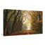 «Path of Dreams» par Lars Van de Goor - photographie-564908635-564908632