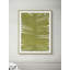 Botanicus Decem 1 Print-779976837