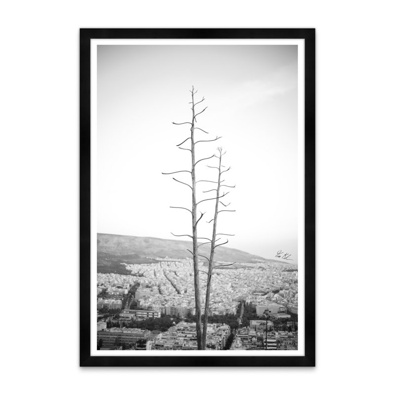 Agave sur les hauteurs d'Athènes III en noir et blanc, H 42 po x l 29 po x P 1,5 po, Noir