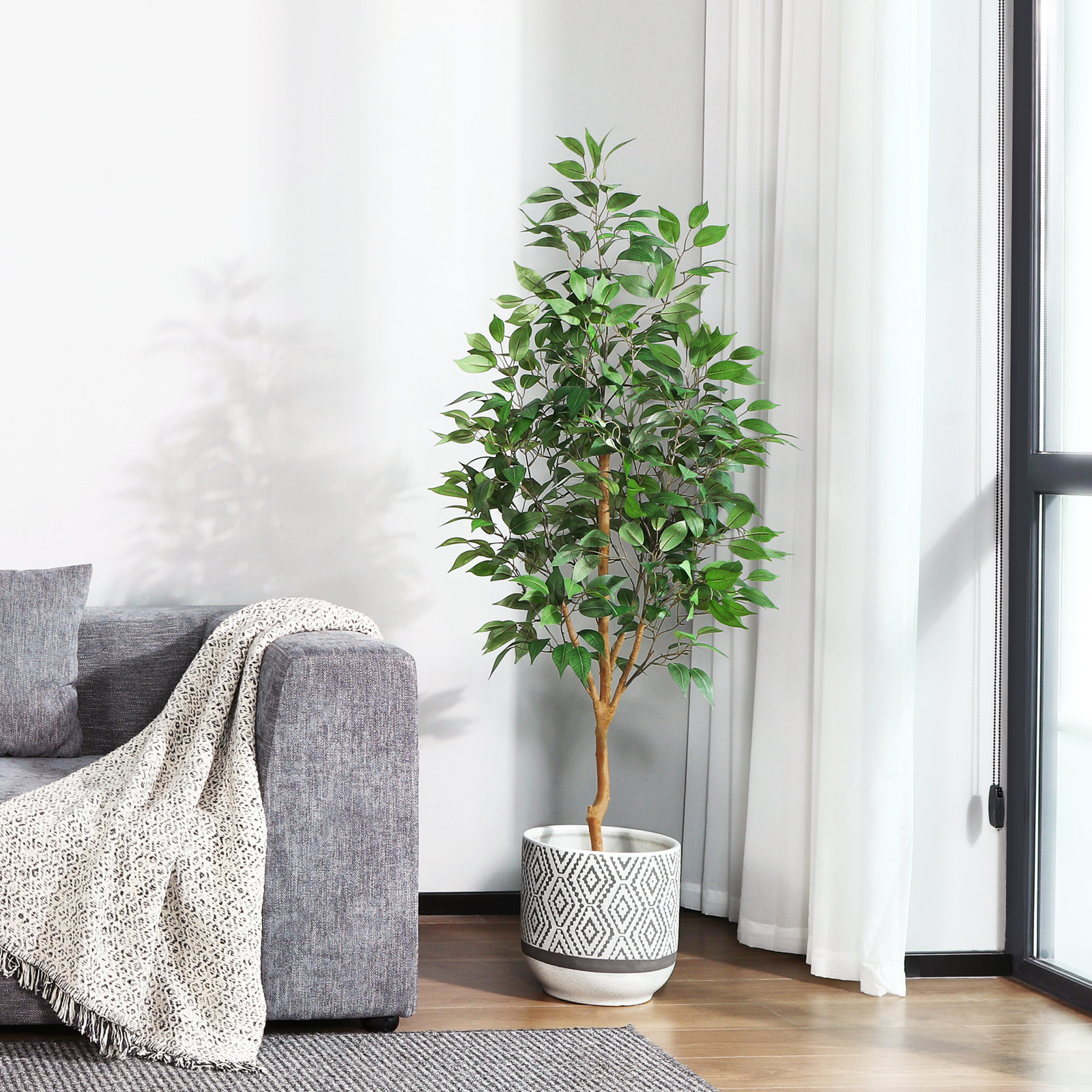 Adcock Ficus Tree in Pot, 59" H x 15" W x 15" D