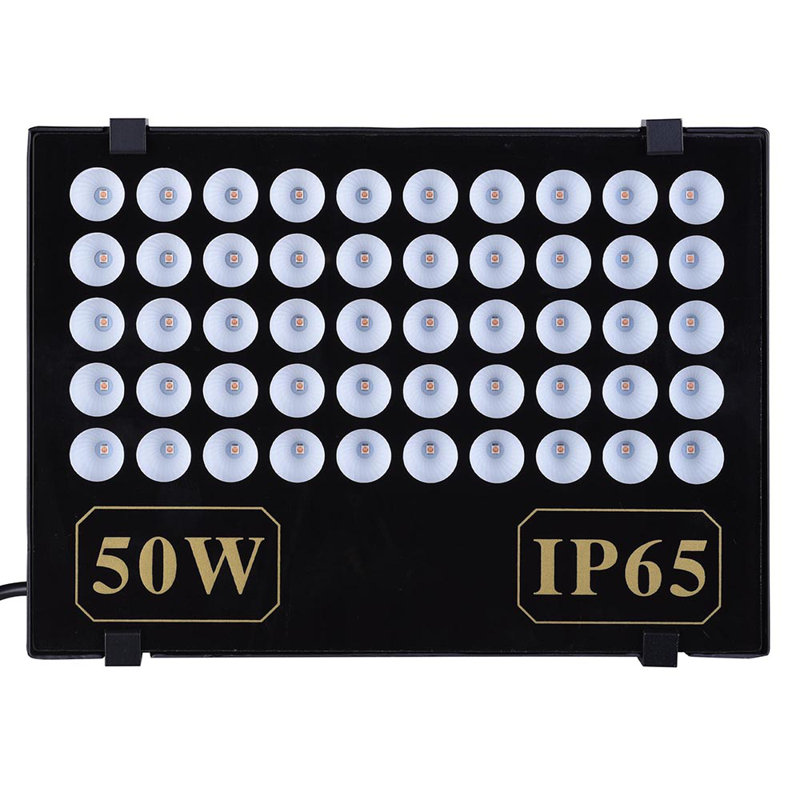 50-Watt LED Flood Light (pack of 2)