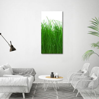 Grass - Wrapped Canvas Print