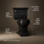 Memoirs® Stately Comfort Height 1.28 GPF Elongated Two-Piece Toilet-10978249-65045841