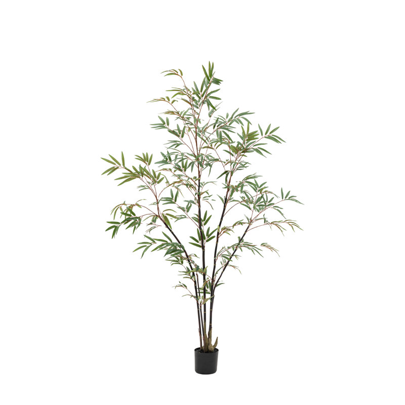 Potted Bamboo Tree 5ft