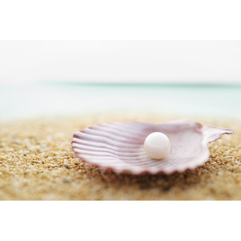 Pearls And Seashell by Horiyan - Wrapped Canvas Print, 61cm H x 91cm W