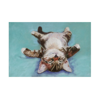 Wrapped Canvas Wall Art - Pat Saunders-White 'Little Napper' Wall Art for Living Room, Bedroom, or Office Décor - 35x47
