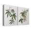 Toile tendue avec cadre tropical tropicale I-Premium-370416754