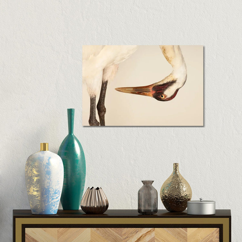 SaraThe Endangered And Federally Endangered Whooping Crane At The Audubon Center Research Center by Joel Sartore - Gallery-Wrapped Canvas Giclée on Canvas