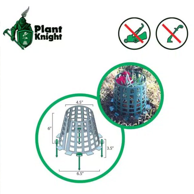 Plant Support, Green, 3