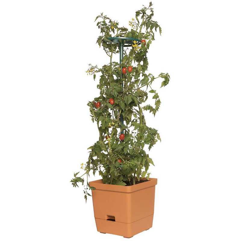 Planter Box