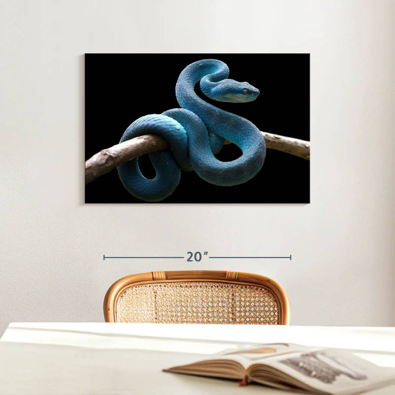 Brampt Blue Viper Snake, 16" H x 24" W