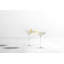 Ciero Wine Glass