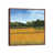Classic Brown Wood Framed