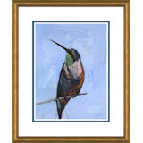 Green Throated Hummingbird Painting by Joseph Mota