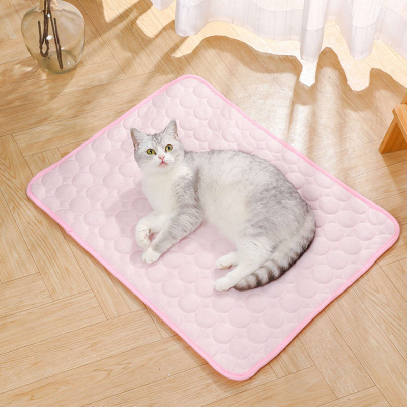 Coussin de refroidissement pour chien, H 0,4 po x l 15,2 po x P 18,5 po, Rose