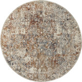 Dmoni Floral Area Rug in Rust