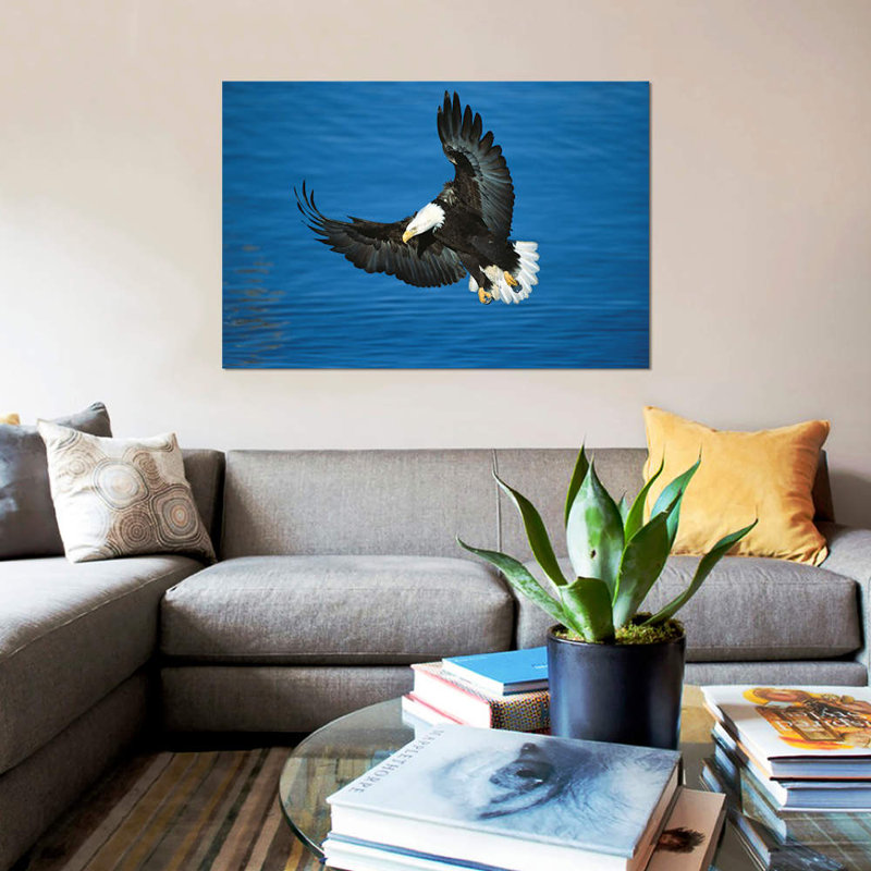 « chauve eagle flying over water, avec commode kenai péninsule, alaska », reproduction de photo sur toile