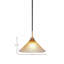 Luminaire suspendu en verre Averyon Paramount-629653636-629653758-629653746