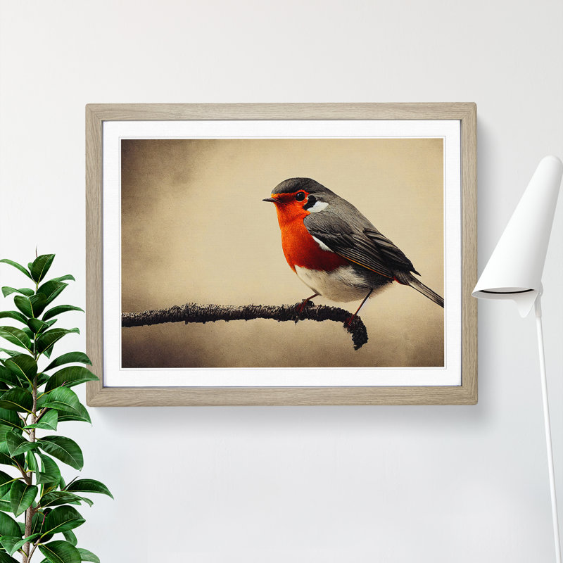 Beautiful Robin Bird - Single Picture Frame Print, 34cm H x 46cm W x 2cm D, Oak Frame