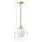Dontario 1 - Light LED Single Pendant