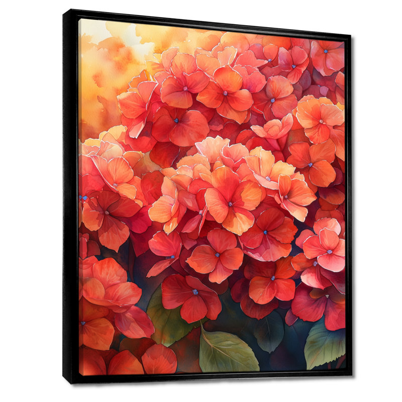«Hydrangeas In The Autumn Light II - Hydrangea», reproduction sur toile encadrée, Noir, Reproduction avec cadre flottant