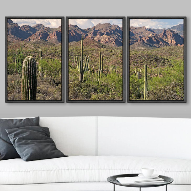 Décoration murale paysage moderne Saguaros in Sonoran Desert, H 36 po x l 72 po, Cadre flottant noir