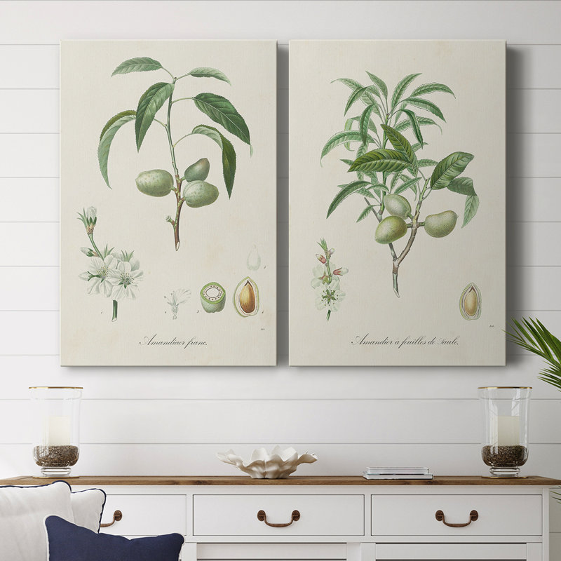 Toile tendue avec châssis antique I-Premium Botanical Antique