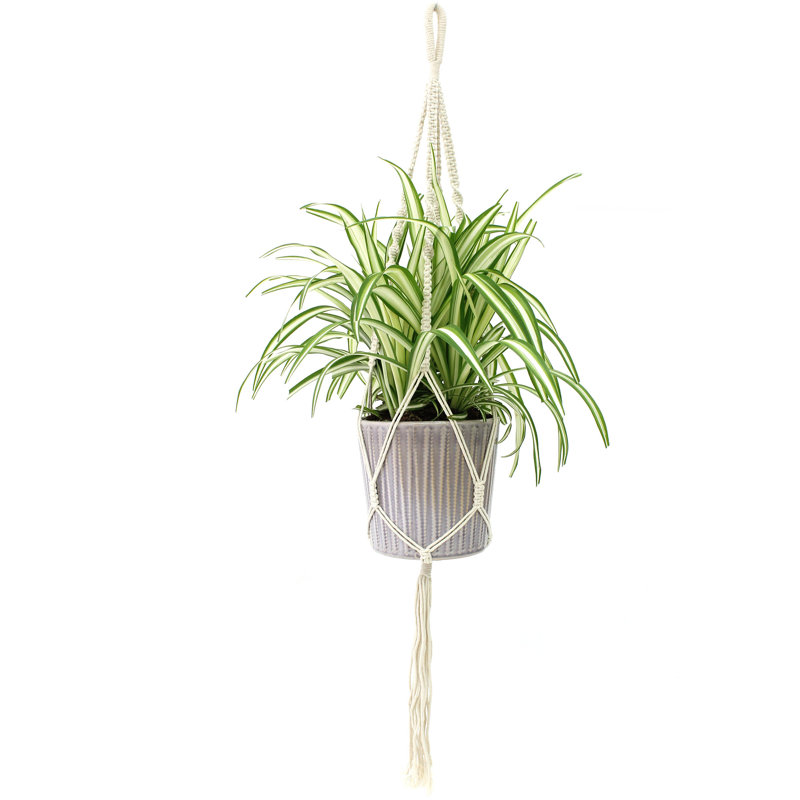 Support pour plante tressée en macramé, H 60 po x l 1,5 po x P 1,5 po