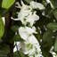GreenBrokers Artificial Lilac Wisteria Tree 150cm/5ft-822835718-822835720