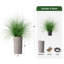 Arbre à oignon en soie - Plantes artificielles dans la décoration de sol extérieure moderne-97818070