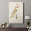 Chouette effraie - galerie Cavas sur mesure-363278973