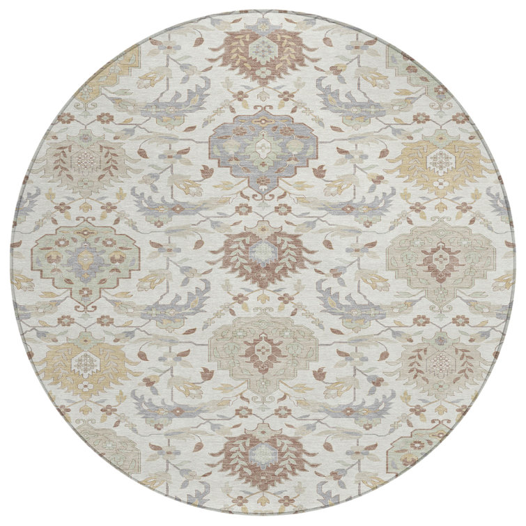 Machine Washable Indoor/Outdoor Chantille ACN1026 Rug