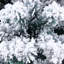 Arbre de Noël léger 6 pi