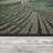 Deirdre Floral Machine Woven Outdoor Area Rug -487720232
