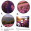 «Calming Lavender Landscape II», reproduction sur toile-1362673371-1362673365