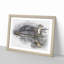Sydney Harbour Bridge Australia in Abstract - Picture Frame Graphic Art Print-55728433-55728434