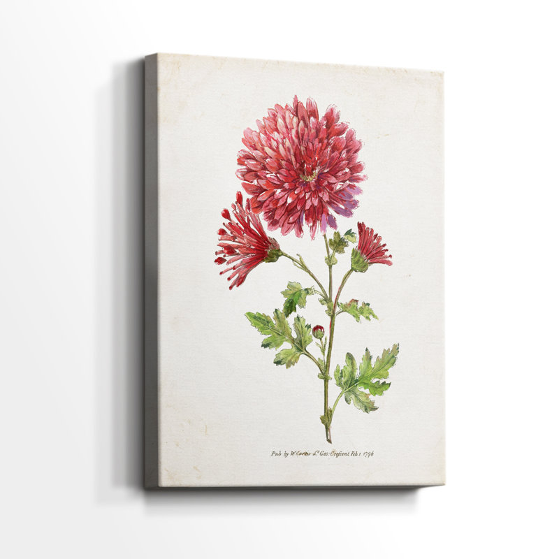 Botanical III - Cavas enveloppés de galerie