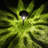 Brown Solar Powered Integrated LED Metal Pathway Light Pack