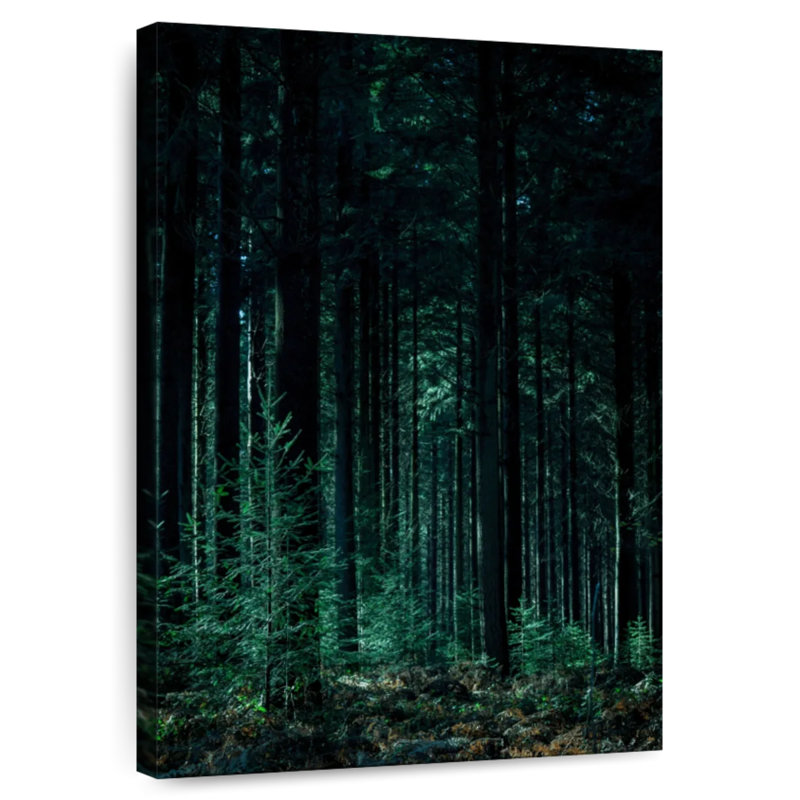 Alvord vert foncé, H 51 po x l 34 po